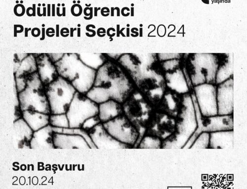 Seçki 2024 Başlıyor