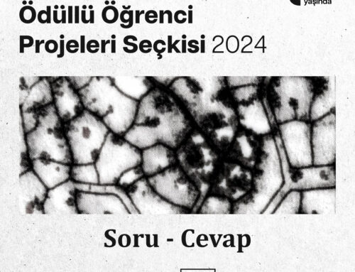 Seçki 2024 Sorular ve Cevaplar